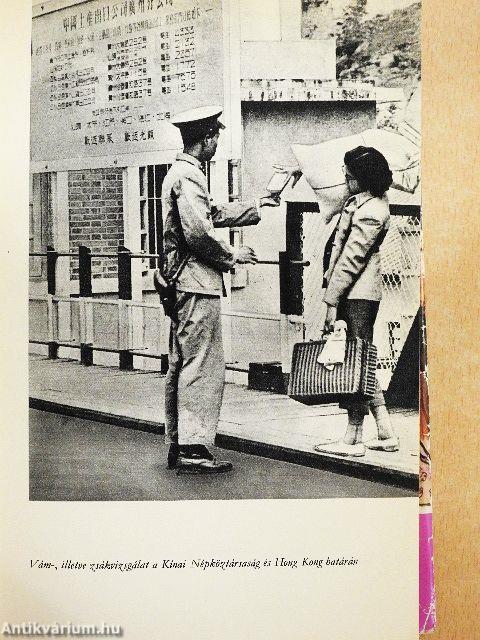 Japán a Kakas évében