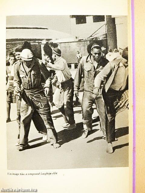 A gyémántmezők rabszolgái