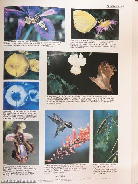 The New Encyclopaedia Britannica Volume 1-29./Index I-II./Britannica world data1993./Britannica Book of the Year 1993., 1994., 1995./Propaedia Outline of Knowledge