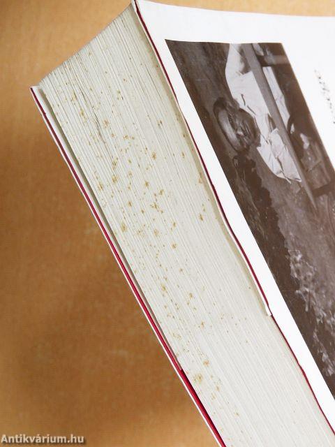 Szabó Lőrinc és felesége levelezése II.