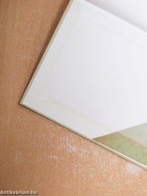 Az évszázad gyermeke