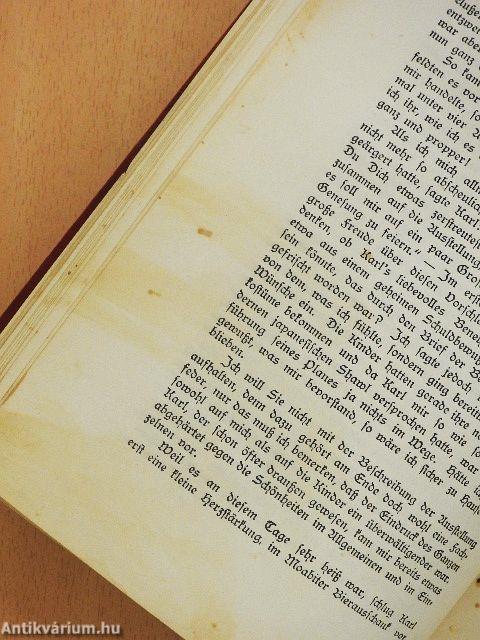 Die Familie Buchholz (gótbetűs)