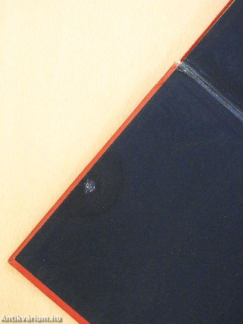 Die Familie Buchholz (gótbetűs)