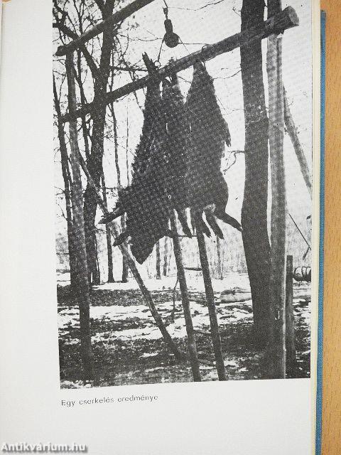 Emlékezetes vadászatok