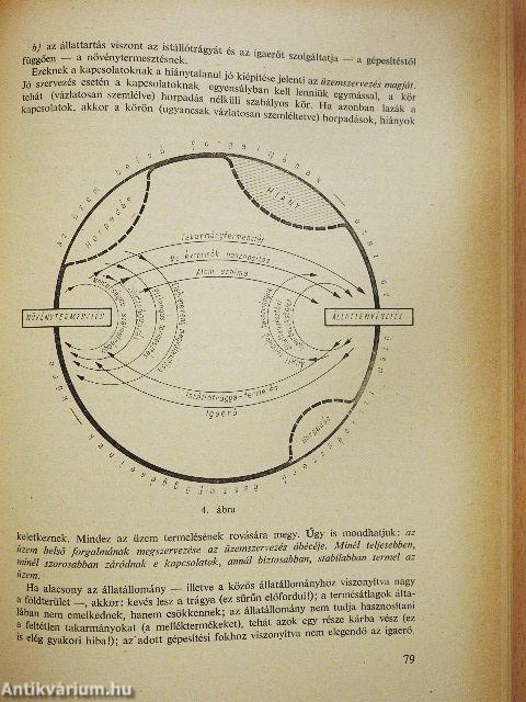 A gazdálkodási eredmény vizsgálata a mezőgazdasági termelőszövetkezetekben