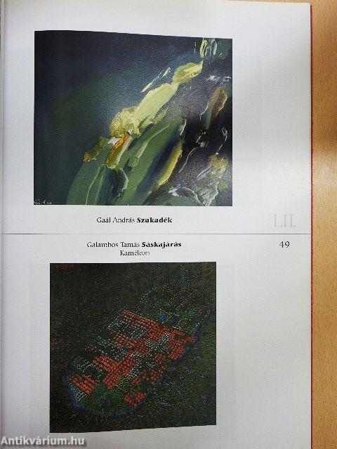 52. Vásárhelyi Őszi Tárlat