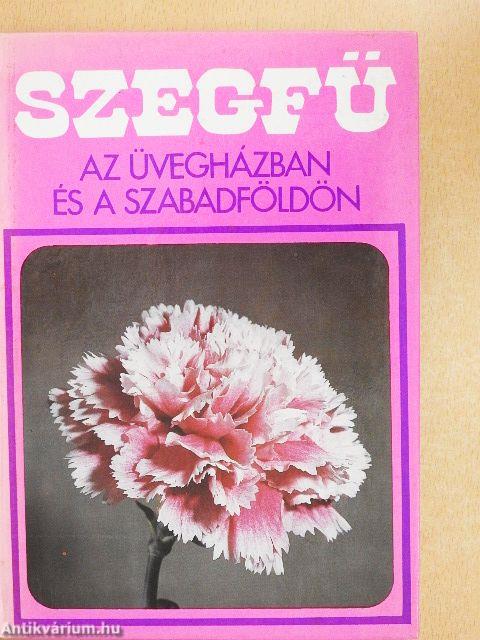 Szegfű az üvegházban és a szabadföldön