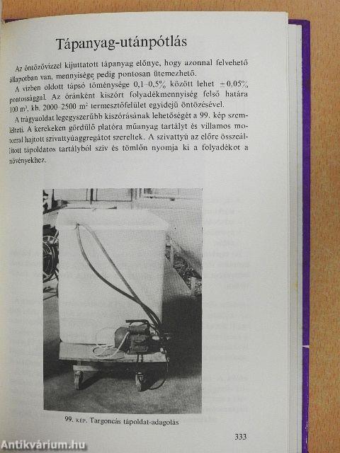 Szegfű az üvegházban és a szabadföldön
