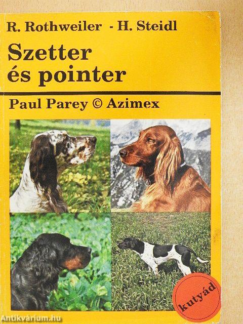 Szetter és pointer