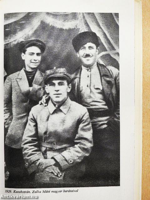 Vallomások Zalka Mátéról