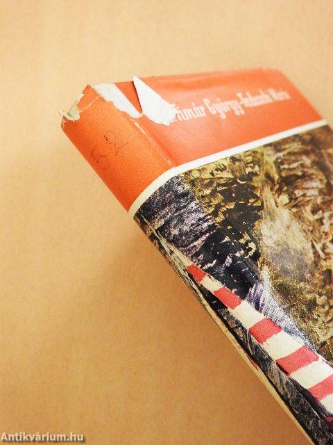 Egyiptomi verőfény