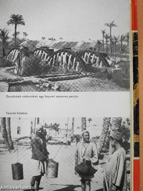 Egyiptomi verőfény