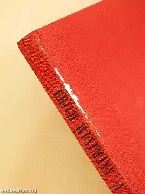 A vörös hegyek indiánjai