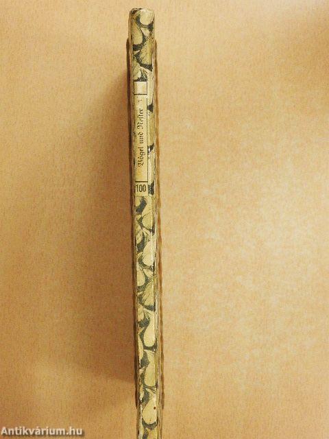 Das kleine Buch der Vögel und Nester (gótbetűs)