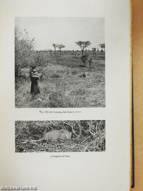 Quentin Durward/Ivanhoe/Kenilworth