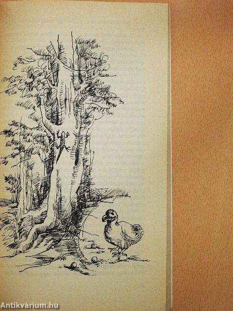 Aranydenevérek, rózsaszín galambok