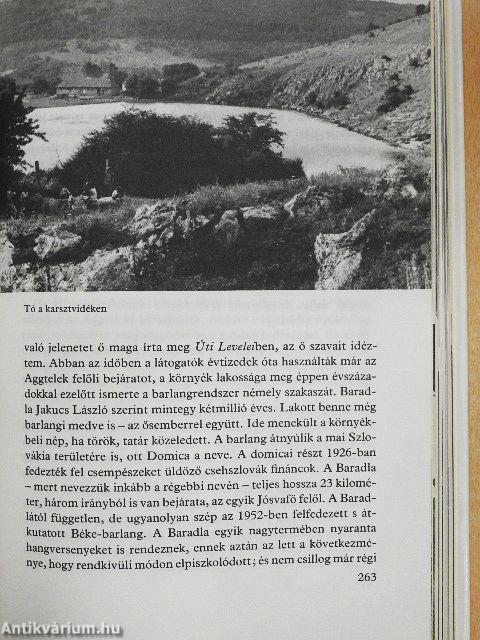 Az északi hegyek ölelésében
