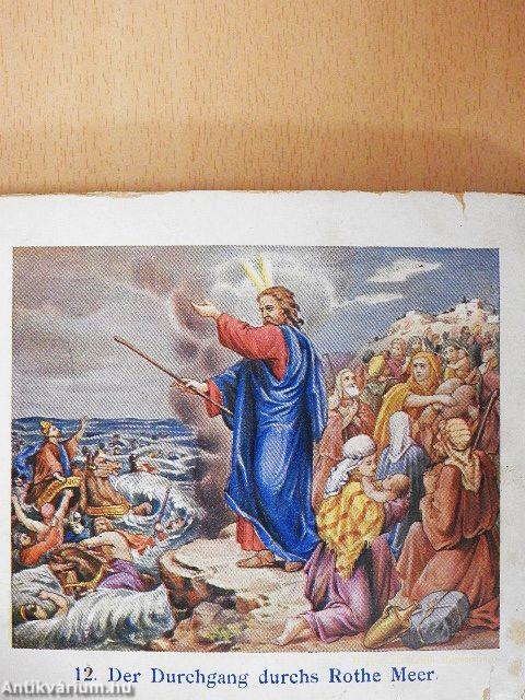 Bibel des Alten und Neuen Testaments in 50 Bildern