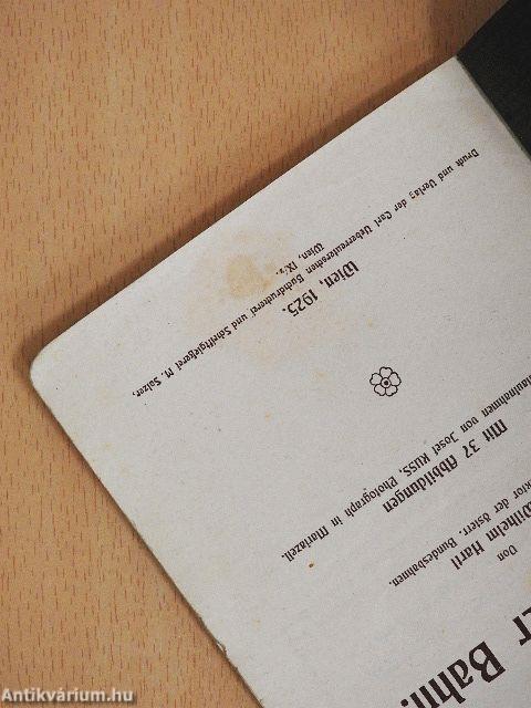 Illustrierter führer auf der Niederösterr.-steirischen Alpenbahn Mariazeller Bahn