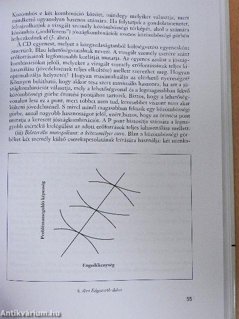 Analitikus szemléletmódok a modern társadalomtudományban
