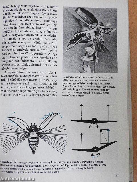 Eleven találmányok