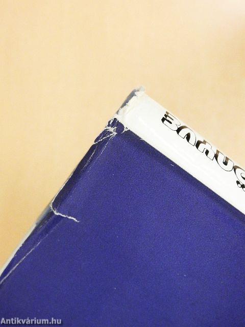 A lakásbérlet kézikönyve