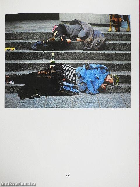 Jede Nacht birgt einen Stern