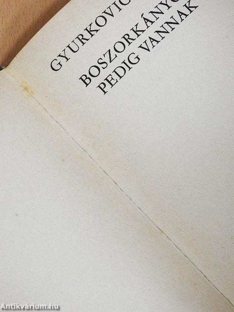 Boszorkányok pedig vannak