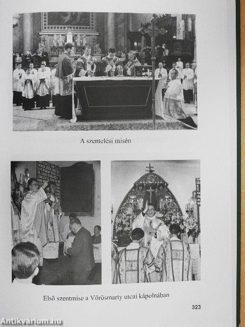 "Mindenkinek mindene lettem"