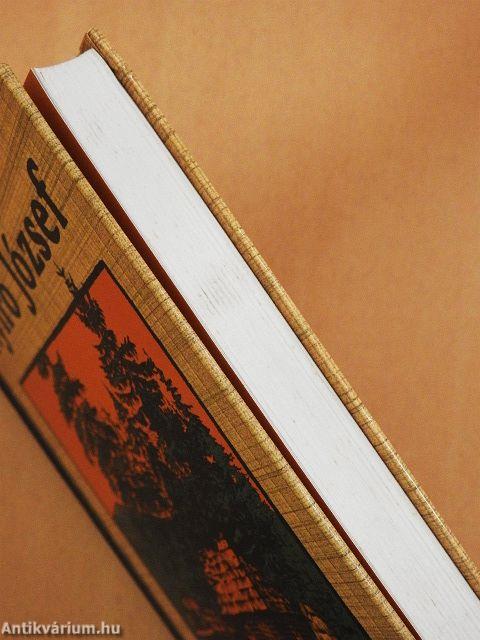 Hull immár a fenyőtoboz