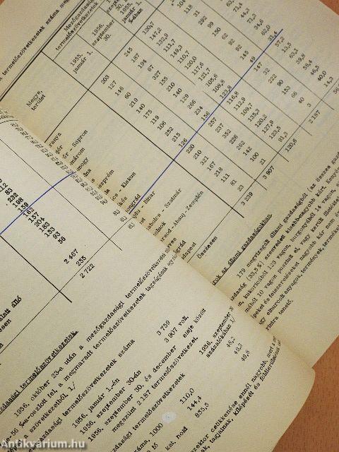 Fontosabb adatok az 1956 október-decemberi időszakról