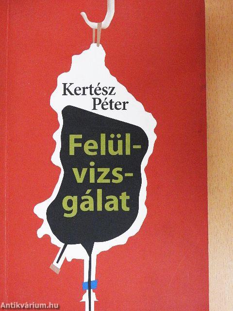 Felülvizsgálat