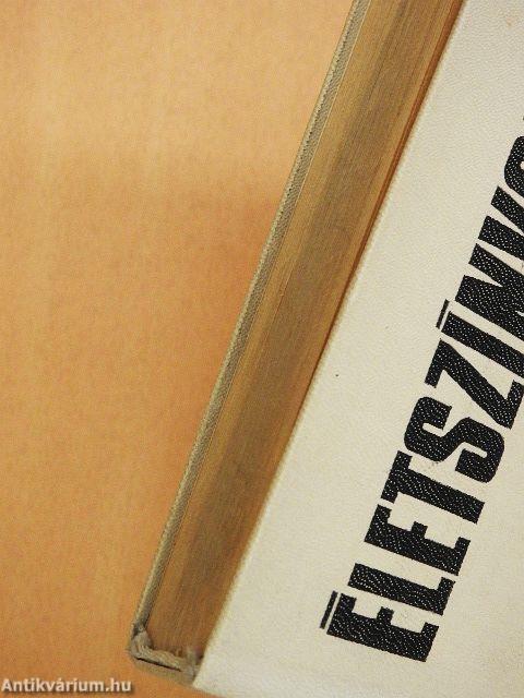 Életszínvonal a mai társadalomban