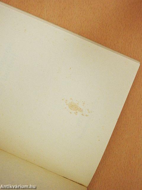 Egy év után, választás előtt