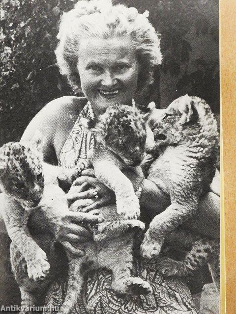 Oroszlánok között