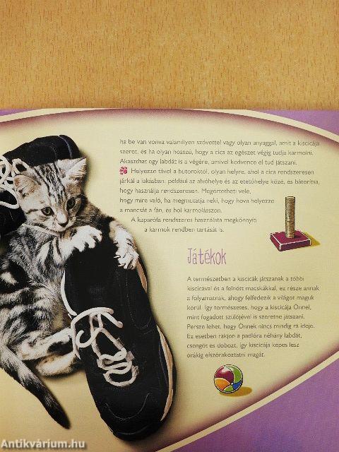 Gondoskodás az első pillanattól kezdve