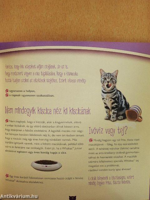 Gondoskodás az első pillanattól kezdve