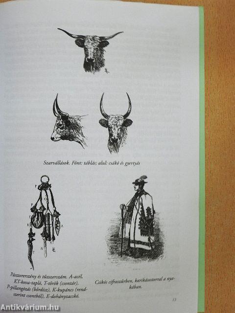 Herman Ottó élete és munkássága