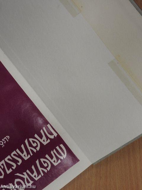 Magyarország Nagyasszonyai I.