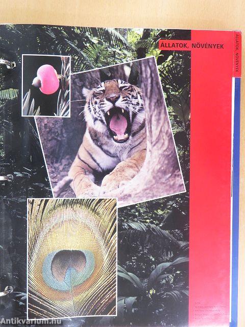 A Tudás Fája 1-9. (nem teljes sorozat)