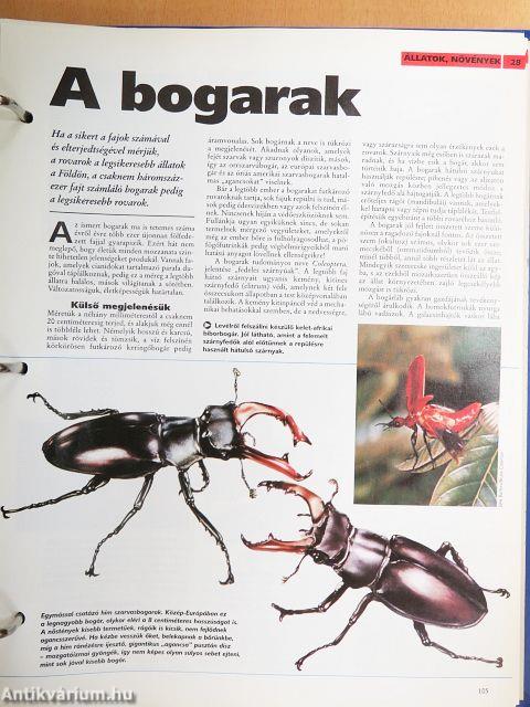 A Tudás Fája 1-9. (nem teljes sorozat)