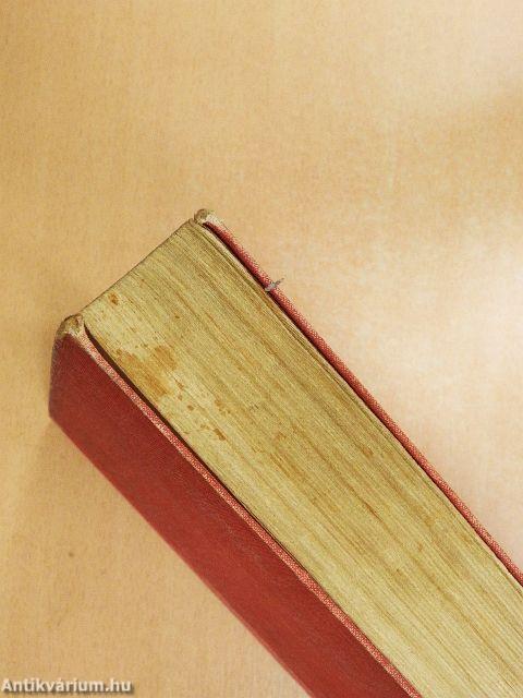 Ady Endre összegyüjtött novellái