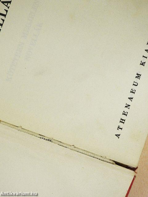 Ady Endre összegyüjtött novellái