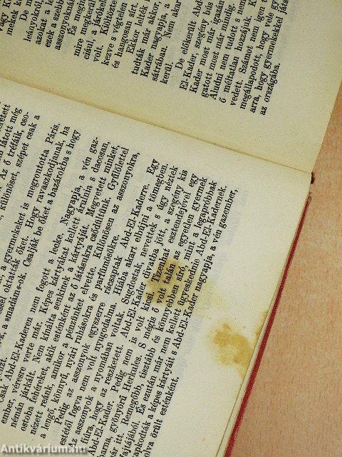 Ady Endre összegyüjtött novellái