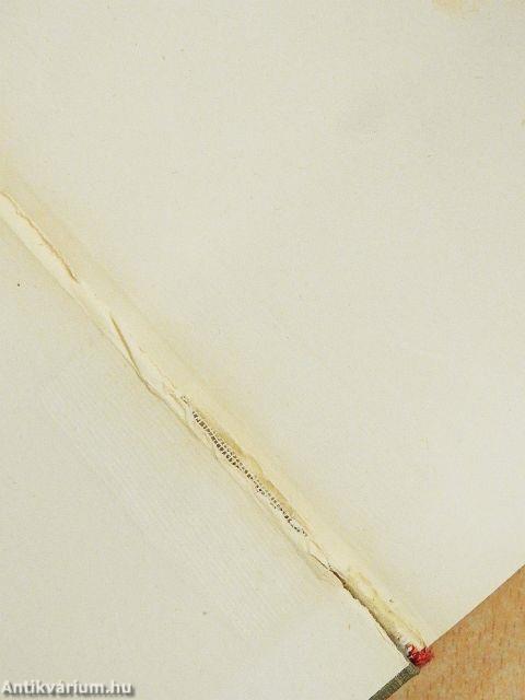 La Madone des Sleepings