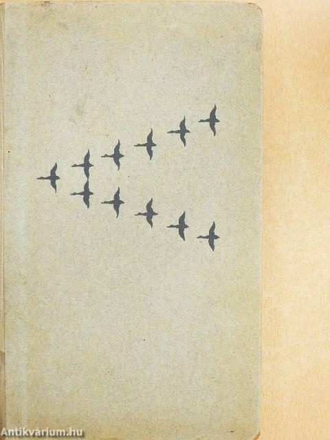 Wunder der Tiergemeinschaften