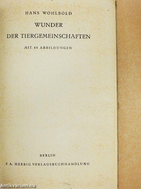 Wunder der Tiergemeinschaften