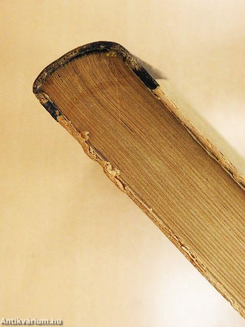 A gyógyító kezek háza