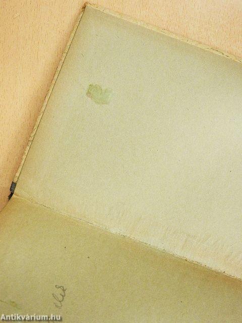 A gyógyító kezek háza