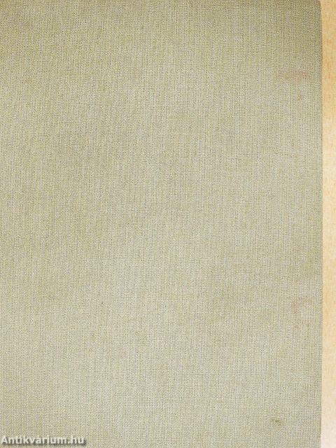 Napnyugati őrjárat